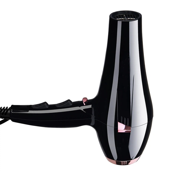 Hair Dryer Plastic Electric Product Mold